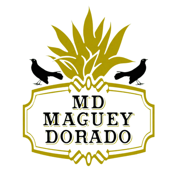 Maguey Dorado